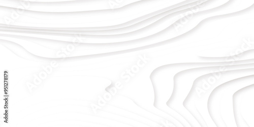 Minimal topography map light element shadow landscape, Abstract paper carve template. abstract colorful 3d papercut topography relief vector background illustration. 