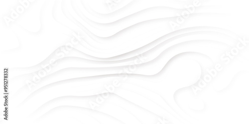 Minimal topography map light element shadow landscape, Background with lines Modern white carve wave line abstract luxury 3d papercut background.