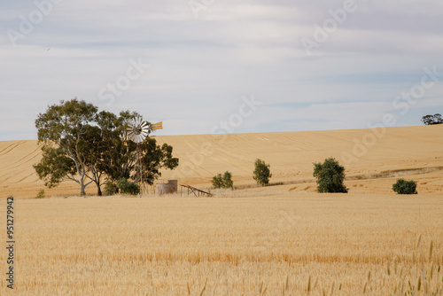 Obraz na płótnie Australian farm landscape 