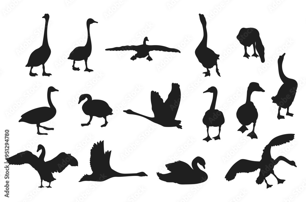 Silhouettes swan set Vector Silhouettes swan set Vector