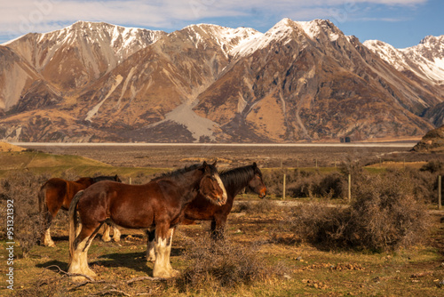 The Hakatere conservation park nestled in valley  below the snow covered peaks of the Southern alps very close to Erewhon station photo