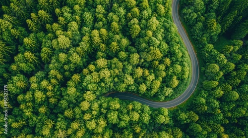 An aerial view of a winding road through a lush green forest.