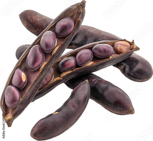 Velvet bean vegetable isolated, Tropical Legume Clipart - dry Velvet Bean illustration