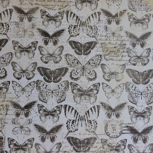 Butterfly Sketches