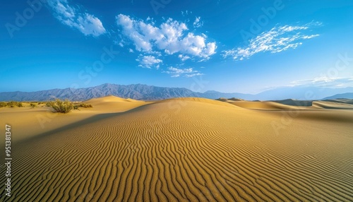 Rippled Sand Dunes in a Desert Landscape