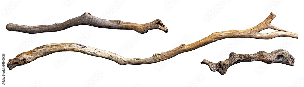 Driftwood Branches in Varied Shapes and Textures. Isolated on a Transparent Background. Cutout PNG.