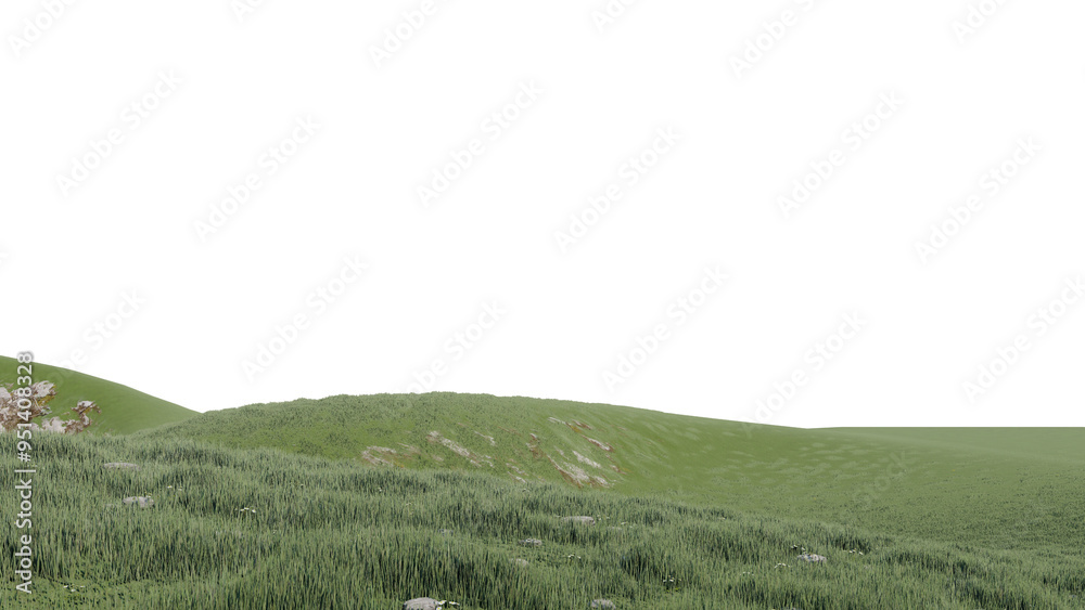 Obraz premium nature grass meadow land lush greenery landscape lawn isolated background.