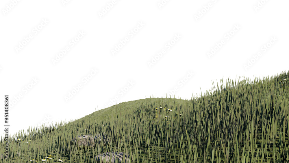 Fototapeta premium nature grass meadow land lush greenery landscape lawn isolated background.