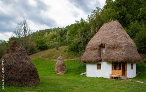 An old peasant house in the Apuseni mountains in Romania