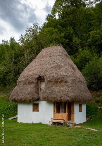 An old peasant house in the Apuseni mountains in Romania