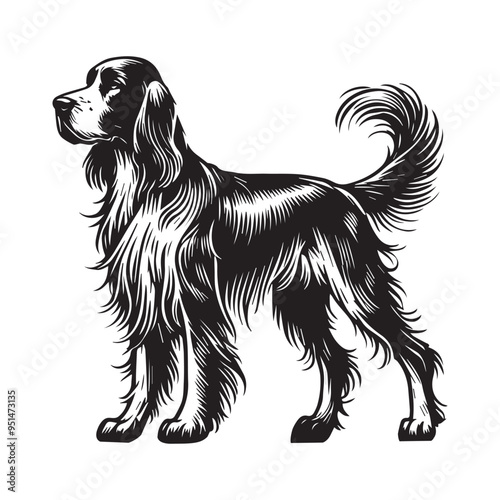 English Setter Dog Standing silhouette  - standing dog side view Vector illustration in black and white
