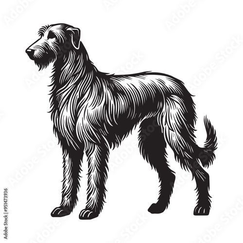 Irish Wolfhound Dog Standing silhouette - standing dog side view Vector illustration in black and white
