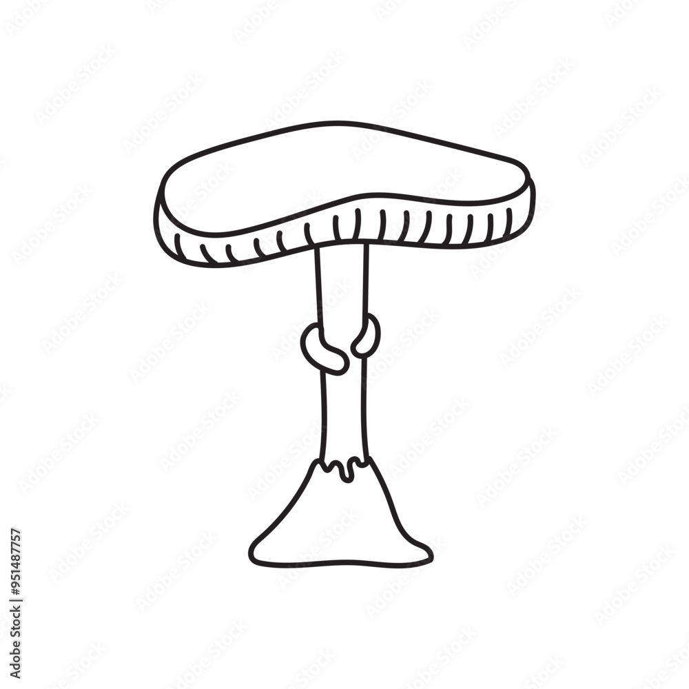 fungus fungus