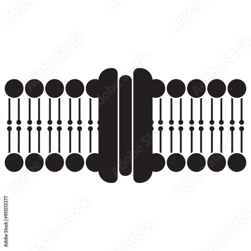 lipids cell