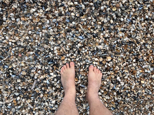 Two bare feet standing on shells