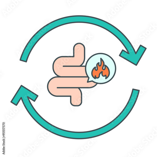metabolism illustration