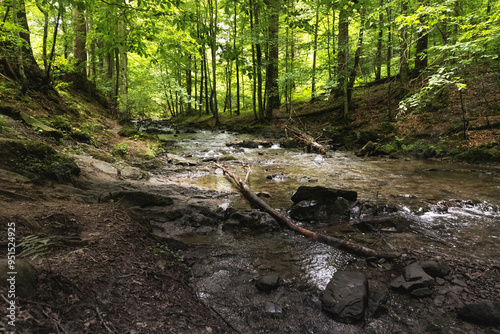 Fototapeta Naklejka Na Ścianę i Meble -  Potok Hylaty Bieszczady