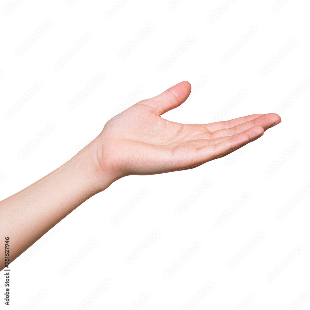 Open hand facing upward, showing a gesture of offering or receiving. The palm is extended with fingers slightly curved. Isolated on transparent background, png. Open hand facing upward, showing a gesture of offering or receiving. The palm is extended with fingers slightly curved. Isolated on transparent background, png.