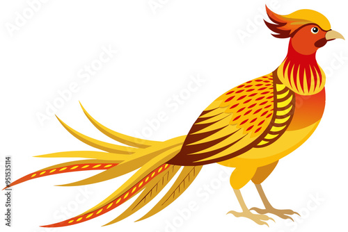 Golden pheasant vector art illustration photo