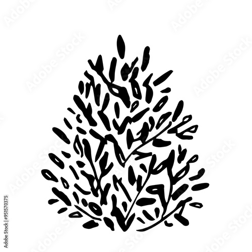 Deciduous shrub of round shape isolated on a white background. Hand drawn vector drawing with black outline, ink sketch. Nature and vegetation, Landscape design.