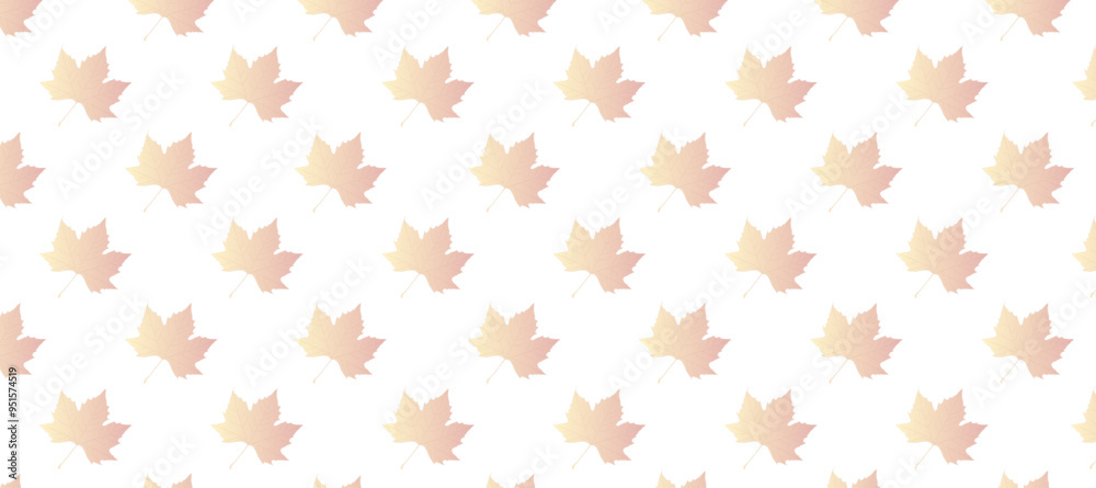Yellow and red autumn leaves in the white background Yellow and red autumn leaves in the white background