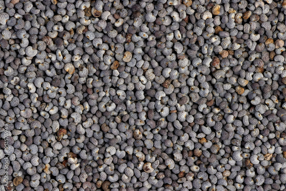 scattered poppy seeds for cooking scattered poppy seeds for cooking