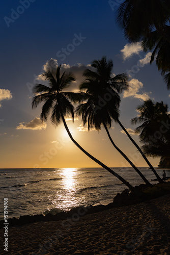 sunset on the beach with Palm trees