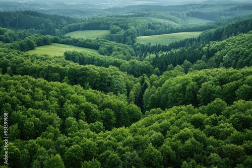 Green forest and nature, Aerial view of trees in forest in Germany with generative ai