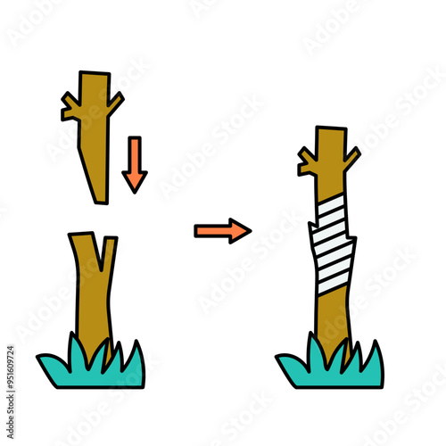 plant grafting
