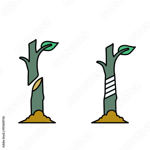 plant grafting