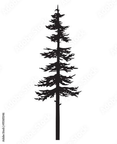 tree pine silhouette vector sketch