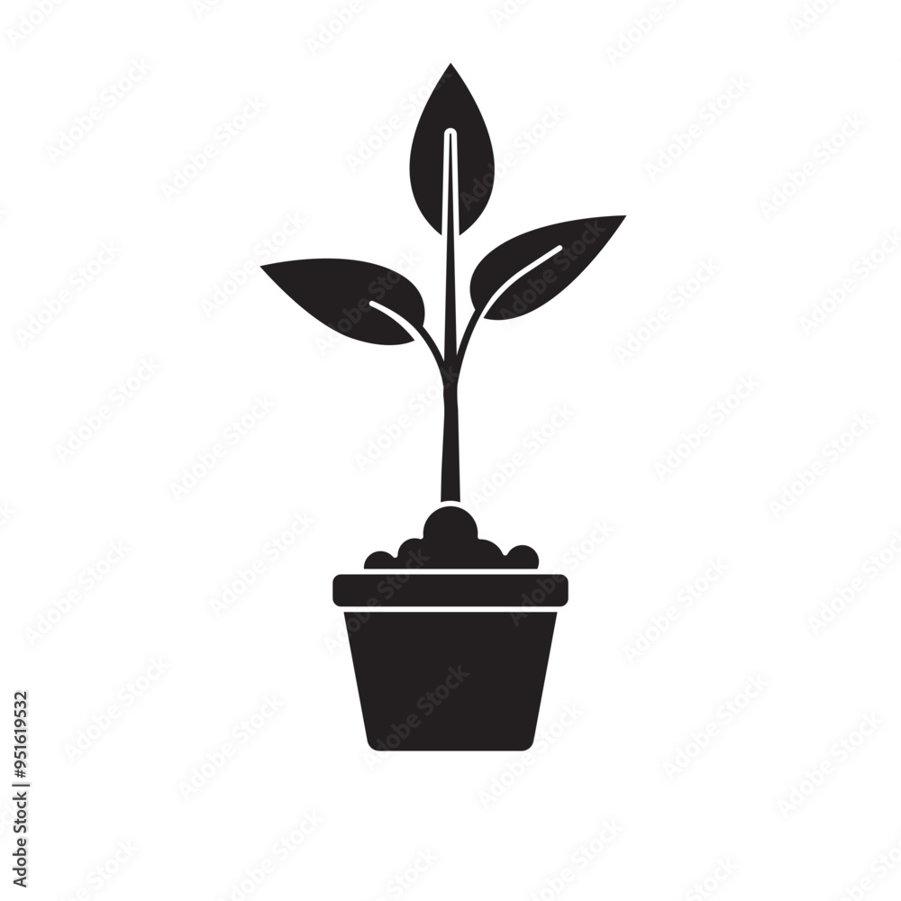 Fototapeta premium shoots plant