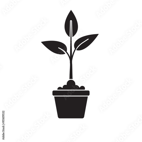 shoots plant