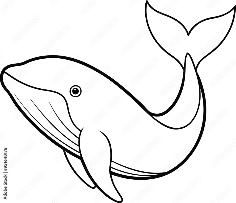 Obraz premium silhouette of a whale