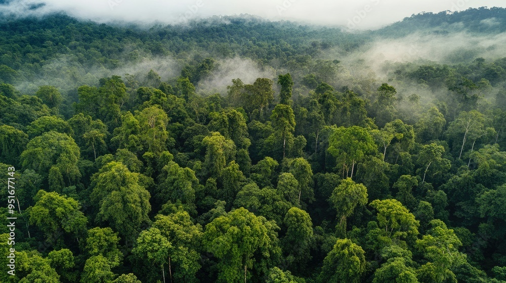 Sustainability net zero carbon negative forest nature Biodiversity Diversity Sustainability net zero carbon negative forest nature Biodiversity Diversity