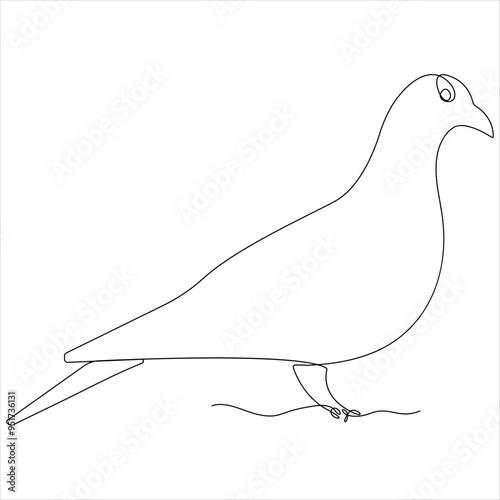 Continuous single line drawing of dove bird vector illustration