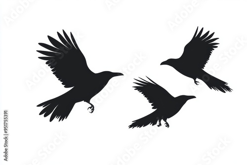 Flock of flying crows, a transparent background with isolated cutout objects.