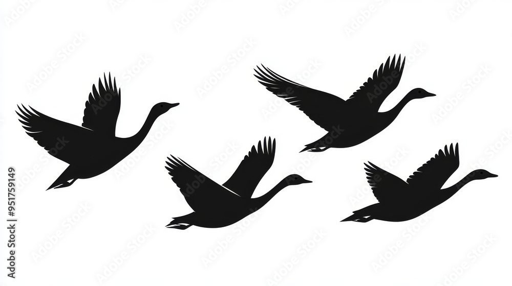 Flight of geese with V formation. Migration season of the geese. Flight of geese with V formation. Migration season of the geese.