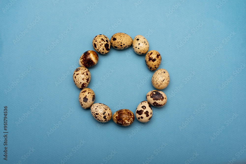 A circle of quail eggs on a blue background. A circle of quail eggs on a blue background.