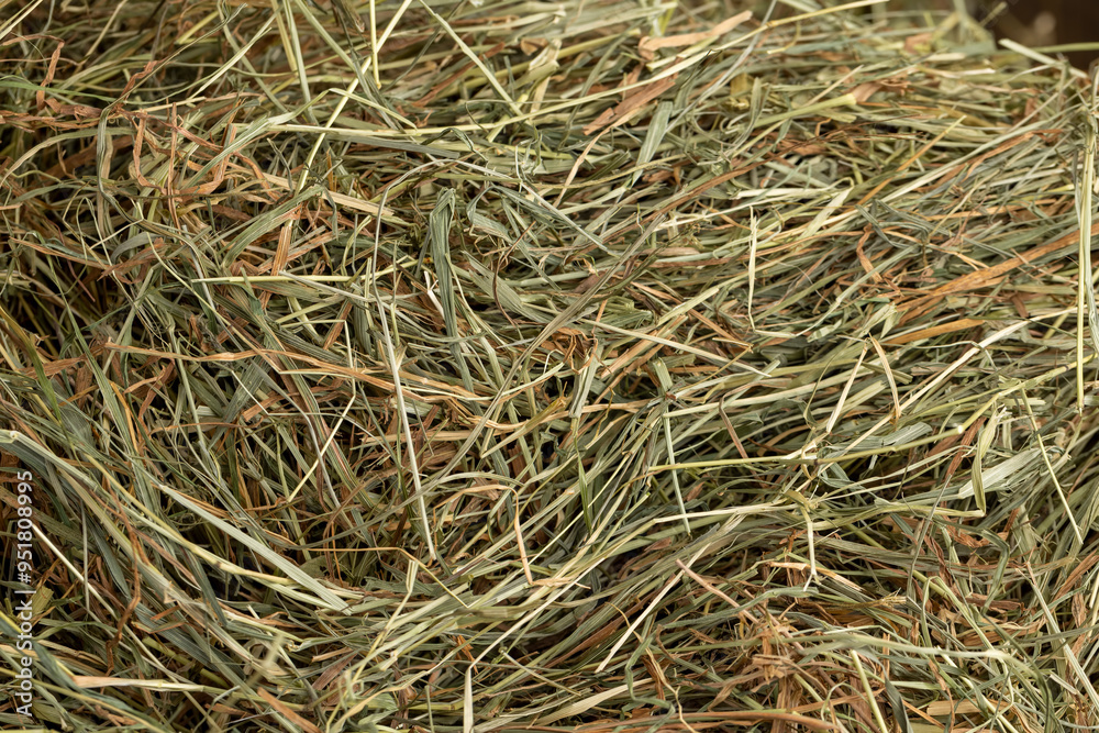 Dehydrated Dried Grass for hay production in agriculture Dehydrated Dried Grass for hay production in agriculture