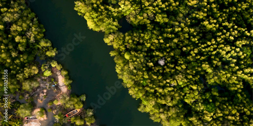 green texture with aerial view green forest on sea