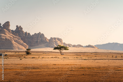 Einsamer Baum im Sonnenaufgang Licht vor der faszinierenden Felsenlandschaft im Wüstenland AlUla Medina Saudi-Arabien  photo