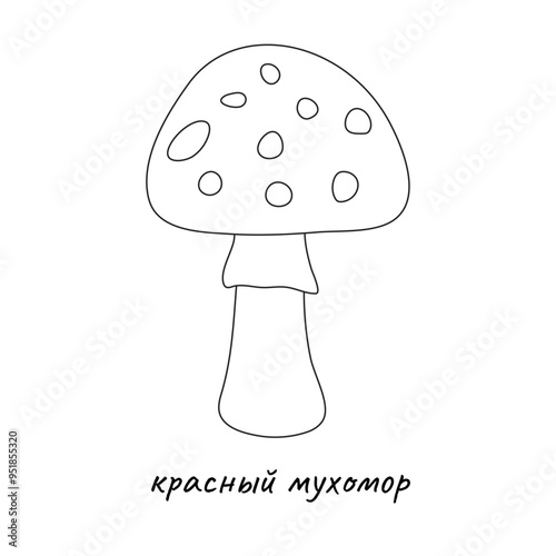 Fly agaric mushroom in outline style on white background for icons, posters, books, kids, webs, apps	