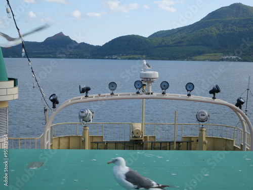 洞爺湖のカモメ