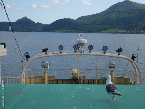 洞爺湖のカモメ