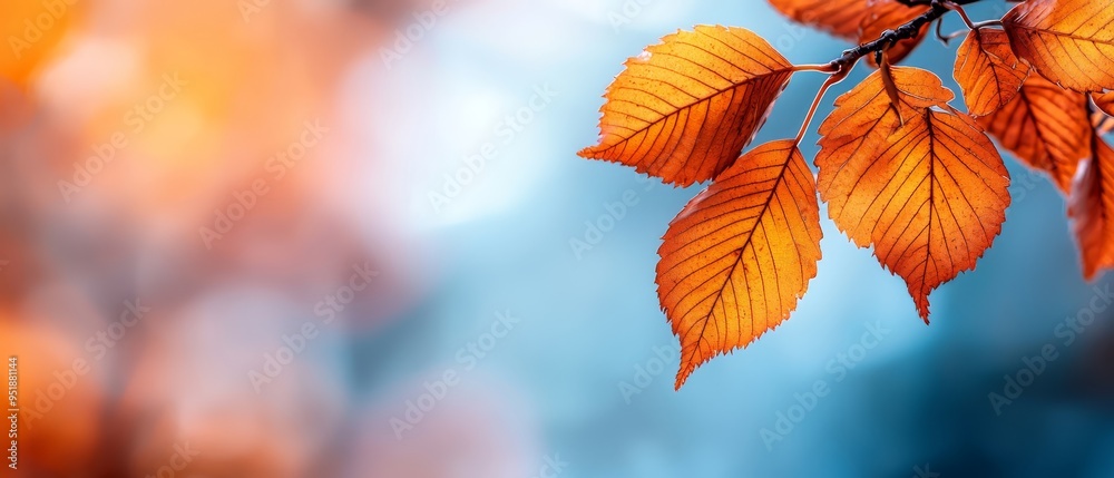 A tree branch with leaves in sharp focus in the foreground, a blurred background of the surrounding scene A tree branch with leaves in sharp focus in the foreground, a blurred background of the surrounding scene