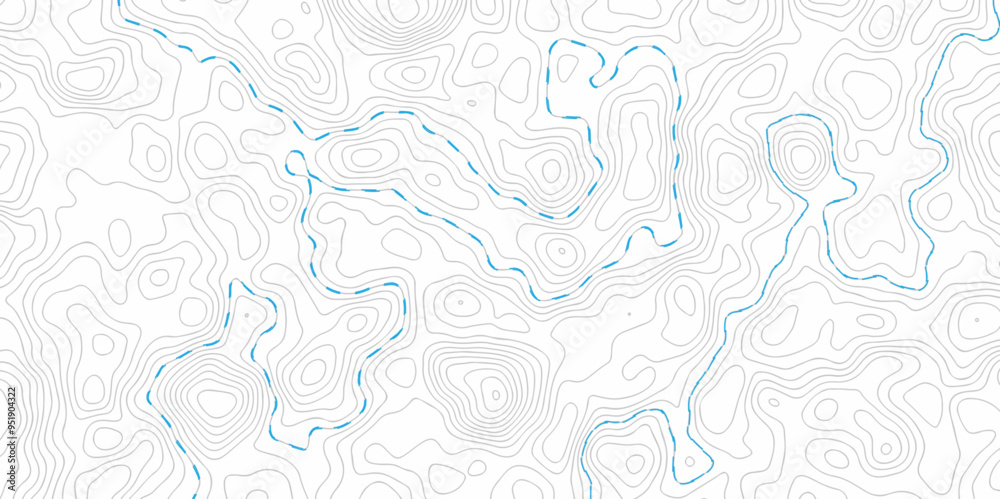 Obraz premium Black and white topography contour lines map isolated on white background. The stylized height of the topographic map contour in lines and contours isolated on transparent. topography line map.