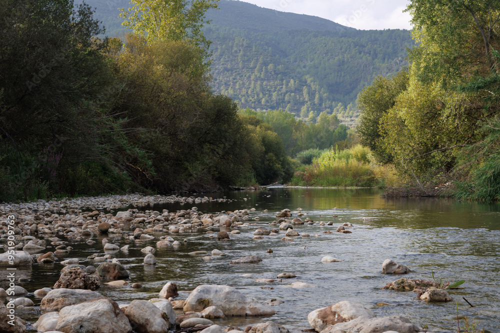 Corriente De Agua De Escaso Caudal stock.adobe.com