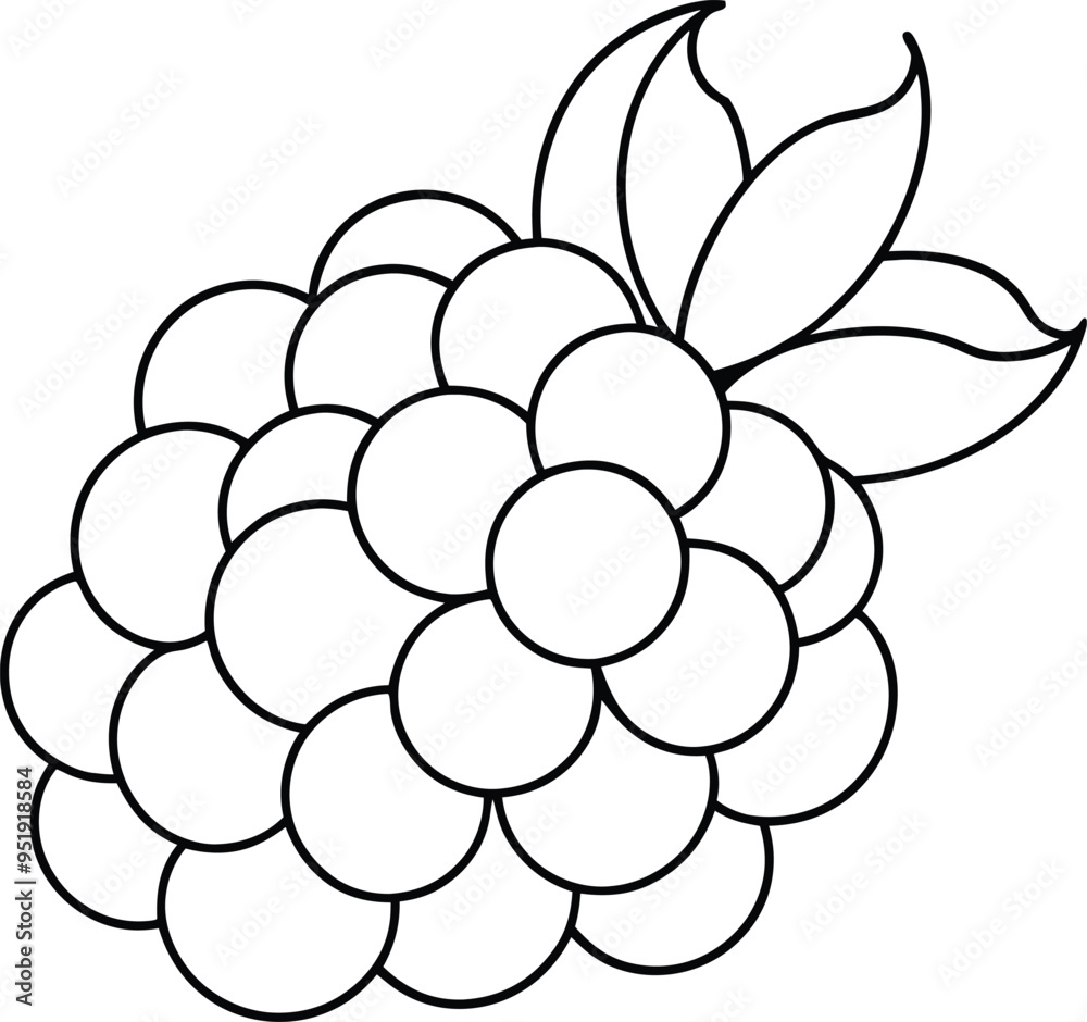 Black and white single-line depiction of a blackberry cluster with clean and refined lines
