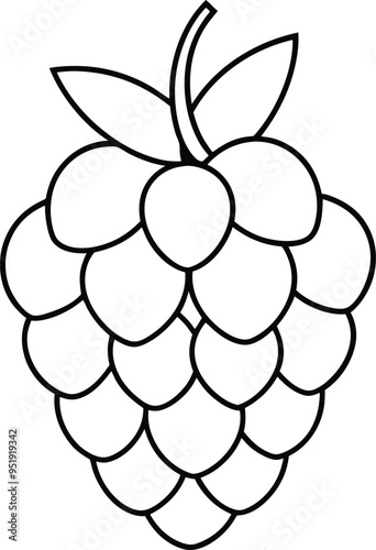 The clean outline of a raspberry showcases detailed bumps giving a realistic texture and highlighting the fruit's unique features

 photo